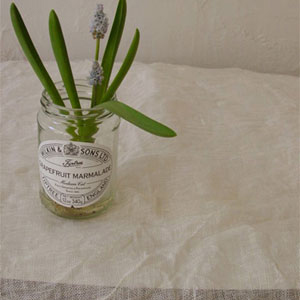 ジェリークロス