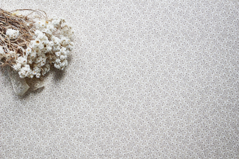 Jpi La Vie Boheme 実のなるコリーヌ<br />オイスタ-