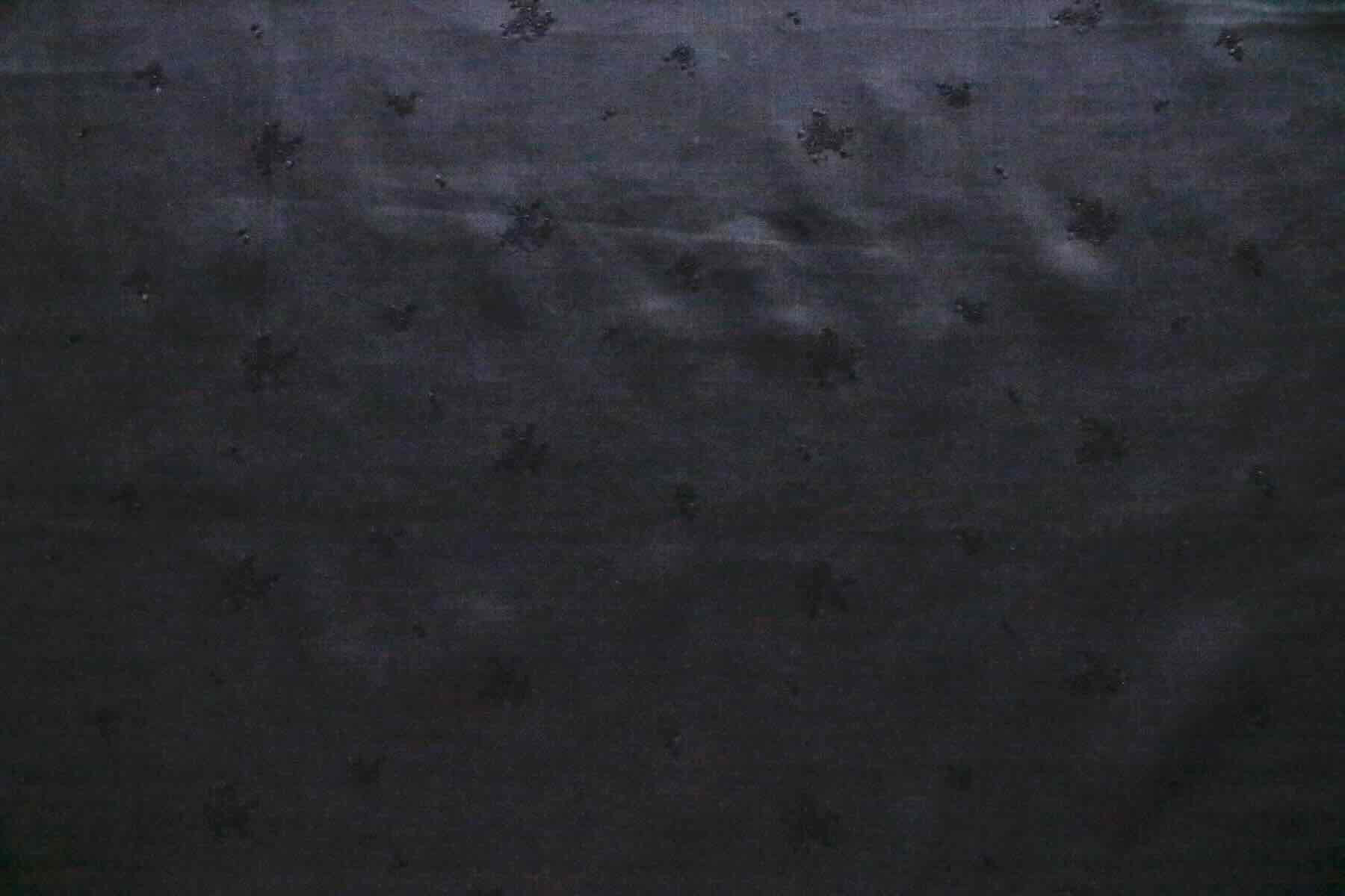 F刺繍ファブリック　ノエルブーケ<br />Black